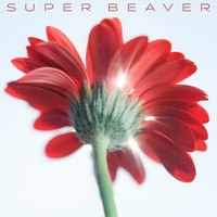 SUPER BEAVER 片想いの画像