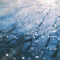 離婚伝説 ファーストキスの画像